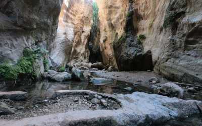 Wycieczka fakultatywna, Wycieczka Akamas Tour z Pafos