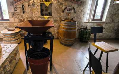 Wycieczka jednodniowa, Szlakiem Cypryjskich Winnic - Sterna Winiarnia