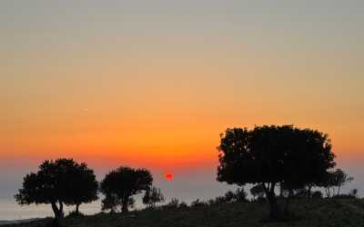 Wycieczka jednodniowa, Wycieczka z Limassol do wąwozu Avakas Kanyon Mini Marathon