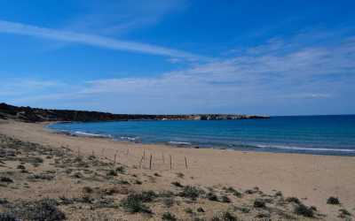 Wycieczka fakultatywna, Wycieczka na plażę Lara Beach [27] z Pafos